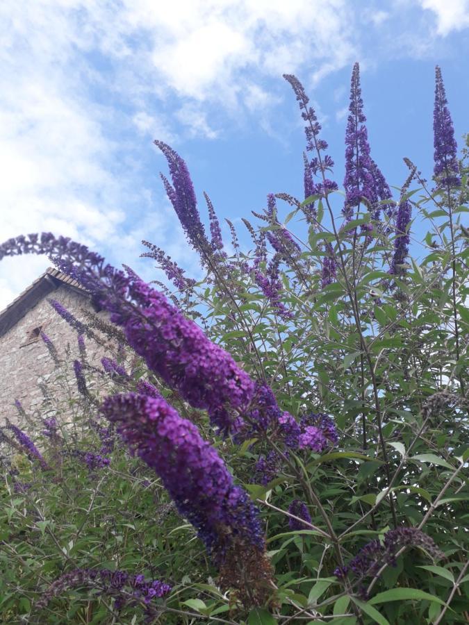 B&B Buddleja Saint-Hilaire-les-Places エクステリア 写真